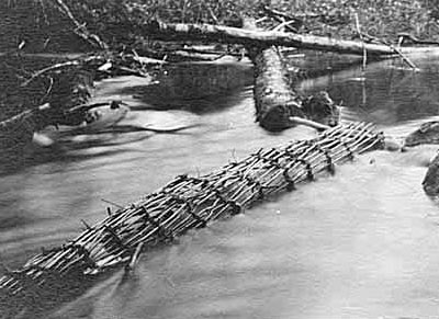 Basket fishing traps, probably in Auburn, ca. 1923